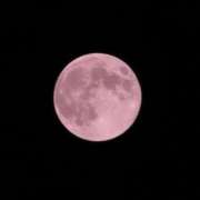 ヒメ日記 2025/08/22 08:43 投稿 くみ 熟女の風俗最終章 蒲田店