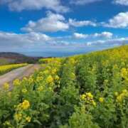 ヒメ日記 2026/03/18 13:50 投稿 くみ 熟女の風俗最終章 蒲田店