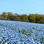 ヒメ日記 2026/03/28 09:40 投稿 くみ 熟女の風俗最終章 蒲田店