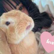 ヒメ日記 2025/02/08 01:59 投稿 ましろ CLUB DEEP