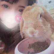 ヒメ日記 2025/12/28 23:24 投稿 ましろ CLUB DEEP