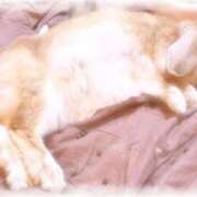 ヒメ日記 2026/04/20 09:14 投稿 ましろ CLUB DEEP