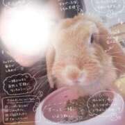 ヒメ日記 2026/05/04 08:41 投稿 ましろ CLUB DEEP
