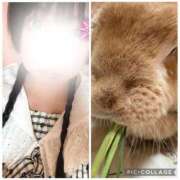 ヒメ日記 2026/07/14 12:24 投稿 ましろ CLUB DEEP