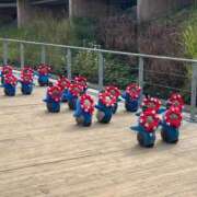 ヒメ日記 2026/02/28 22:43 投稿 ゆうか ダイスキ