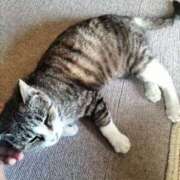 ヒメ日記 2025/04/29 18:28 投稿 みくる 熟女の風俗最終章 立川店