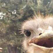 ヒメ日記 2025/09/11 12:12 投稿 みくる 熟女の風俗最終章 立川店