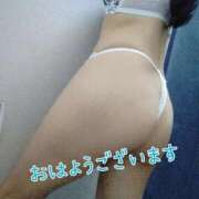 ヒメ日記 2025/12/22 07:44 投稿 夜桜-よざくら MSC 妄想紳士倶楽部 鶯谷店