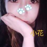 ヒメ日記 2025/05/27 08:15 投稿 小花【こはな】 丸妻 西船橋店