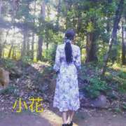 ヒメ日記 2025/06/29 08:04 投稿 小花【こはな】 丸妻 西船橋店