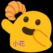 ヒメ日記 2025/07/24 14:25 投稿 小花【こはな】 丸妻 西船橋店