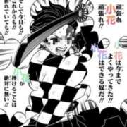 ヒメ日記 2025/08/23 12:19 投稿 小花【こはな】 丸妻 西船橋店