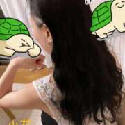 ヒメ日記 2025/08/29 12:21 投稿 小花【こはな】 丸妻 西船橋店