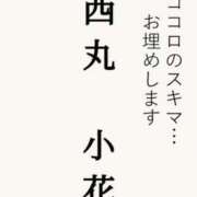 ヒメ日記 2025/09/19 12:19 投稿 小花【こはな】 丸妻 西船橋店