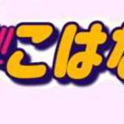 ヒメ日記 2025/09/20 12:18 投稿 小花【こはな】 丸妻 西船橋店