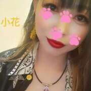 ヒメ日記 2025/10/11 19:30 投稿 小花【こはな】 丸妻 西船橋店