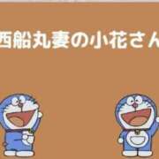 ヒメ日記 2025/10/24 12:32 投稿 小花【こはな】 丸妻 西船橋店