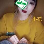 ヒメ日記 2025/11/06 07:35 投稿 小花【こはな】 丸妻 西船橋店