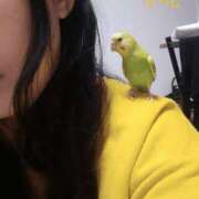 ヒメ日記 2025/11/06 21:25 投稿 小花【こはな】 丸妻 西船橋店