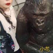 ヒメ日記 2025/11/12 15:35 投稿 小花【こはな】 丸妻 西船橋店