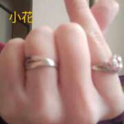 ヒメ日記 2025/11/15 13:51 投稿 小花【こはな】 丸妻 西船橋店