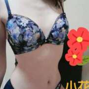 ヒメ日記 2025/12/04 20:48 投稿 小花【こはな】 丸妻 西船橋店