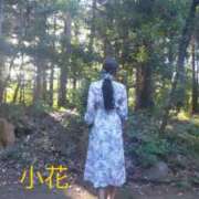 ヒメ日記 2025/12/05 07:49 投稿 小花【こはな】 丸妻 西船橋店