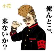 ヒメ日記 2025/12/23 12:21 投稿 小花【こはな】 丸妻 西船橋店