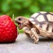 ヒメ日記 2025/12/27 09:41 投稿 小花【こはな】 丸妻 西船橋店