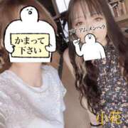 ヒメ日記 2026/01/23 21:37 投稿 小花【こはな】 丸妻 西船橋店