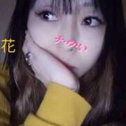 ヒメ日記 2026/02/20 09:51 投稿 小花【こはな】 丸妻 西船橋店