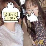 ヒメ日記 2026/03/08 21:56 投稿 小花【こはな】 丸妻 西船橋店