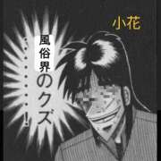 ヒメ日記 2026/04/07 12:24 投稿 小花【こはな】 丸妻 西船橋店