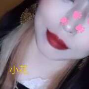 ヒメ日記 2026/04/14 21:44 投稿 小花【こはな】 丸妻 西船橋店