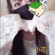 ヒメ日記 2026/04/22 21:24 投稿 小花【こはな】 丸妻 西船橋店