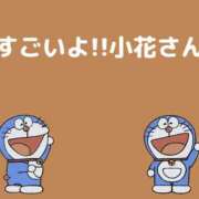 ヒメ日記 2026/08/06 08:11 投稿 小花【こはな】 丸妻 西船橋店