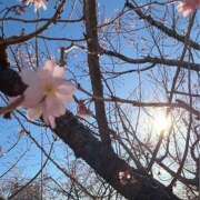 ヒメ日記 2025/02/21 14:24 投稿 朝倉 鶯うぐ