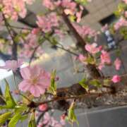 ヒメ日記 2025/03/09 10:52 投稿 朝倉 鶯うぐ