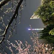 ヒメ日記 2025/03/15 14:02 投稿 朝倉 鶯うぐ