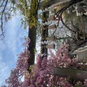 ヒメ日記 2025/03/18 17:00 投稿 朝倉 鶯うぐ