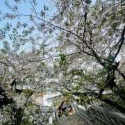 朝倉 こんにちは 鶯うぐ