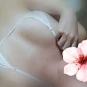 ヒメ日記 2025/05/27 17:19 投稿 秋野ミノリ ビギナーズエステ ROOMiE＋（ルーミープラス）