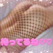 ヒメ日記 2025/04/06 01:33 投稿 板野(いたの) 相模原人妻城