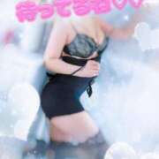 ヒメ日記 2025/04/12 16:03 投稿 板野(いたの) 相模原人妻城