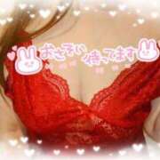 ヒメ日記 2025/05/30 00:18 投稿 板野(いたの) 相模原人妻城