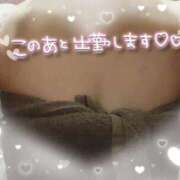 ヒメ日記 2025/06/30 15:36 投稿 板野(いたの) 相模原人妻城