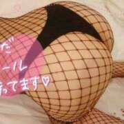 ヒメ日記 2025/10/21 01:21 投稿 板野(いたの) 相模原人妻城