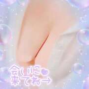 ヒメ日記 2025/11/16 01:33 投稿 板野(いたの) 相模原人妻城