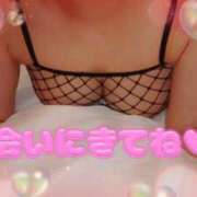 ヒメ日記 2025/11/25 00:33 投稿 板野(いたの) 相模原人妻城