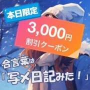 ヒメ日記 2026/01/29 23:03 投稿 板野(いたの) 相模原人妻城